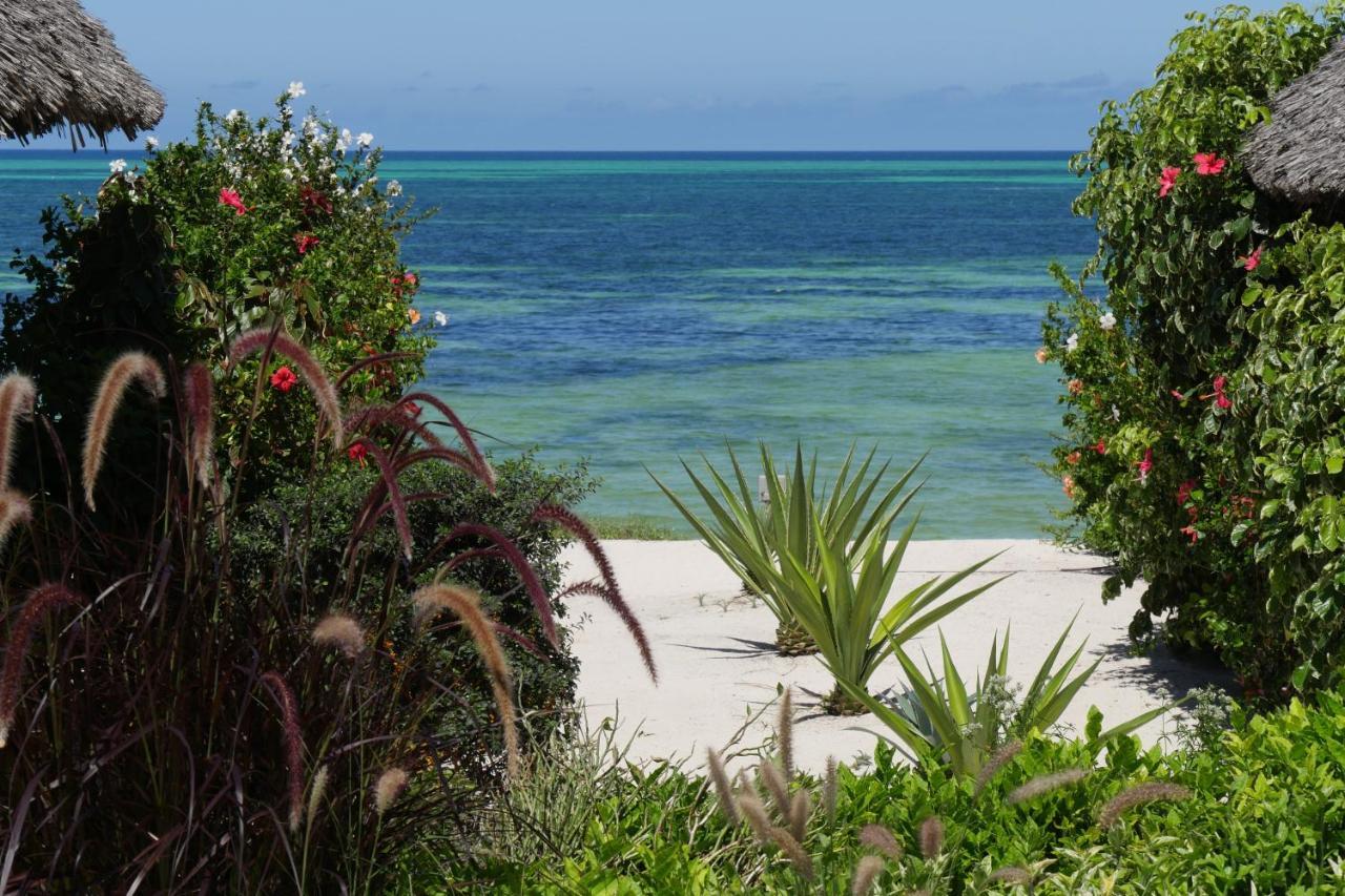 Zanbluu Kiwengwa (Zanzibar)